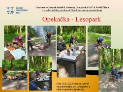 Opekacka-Lesopark