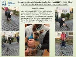 Potesenie-zo-psika-3-3-2021