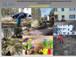 Jarne-pracovne-doobedie