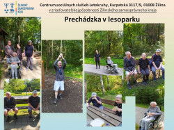 Prechadzka-Lesopark