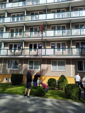 img_20250430_094438.jpg